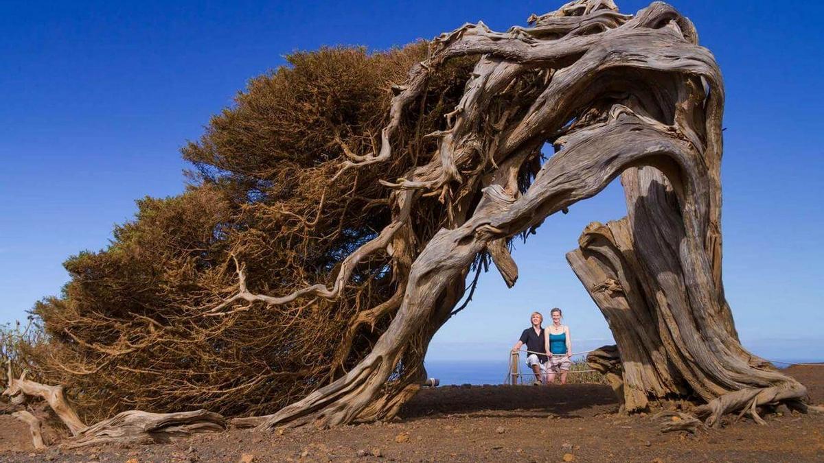 Imagen de El Sabinar, en El Hierro.