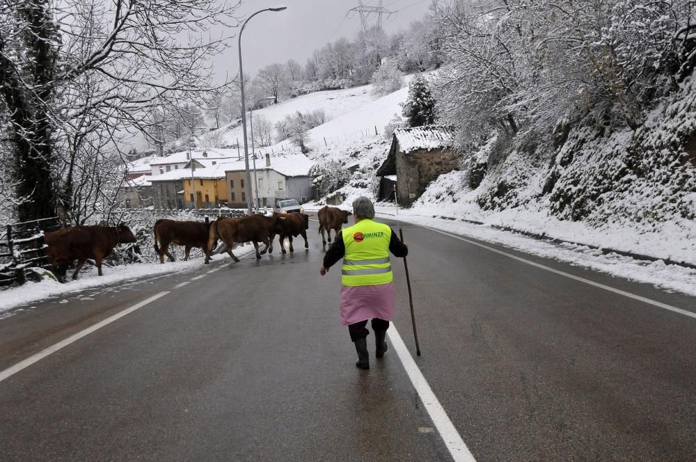 Las primeras nieves del otoño en Asturias