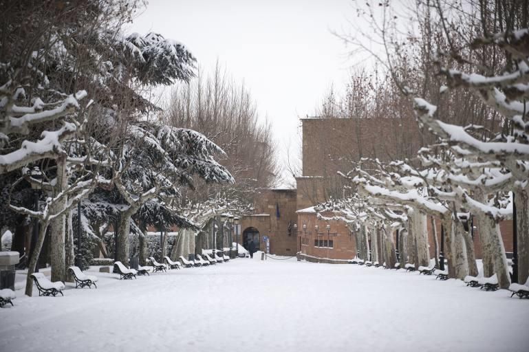 Así ha sido la nevada en Benavente.