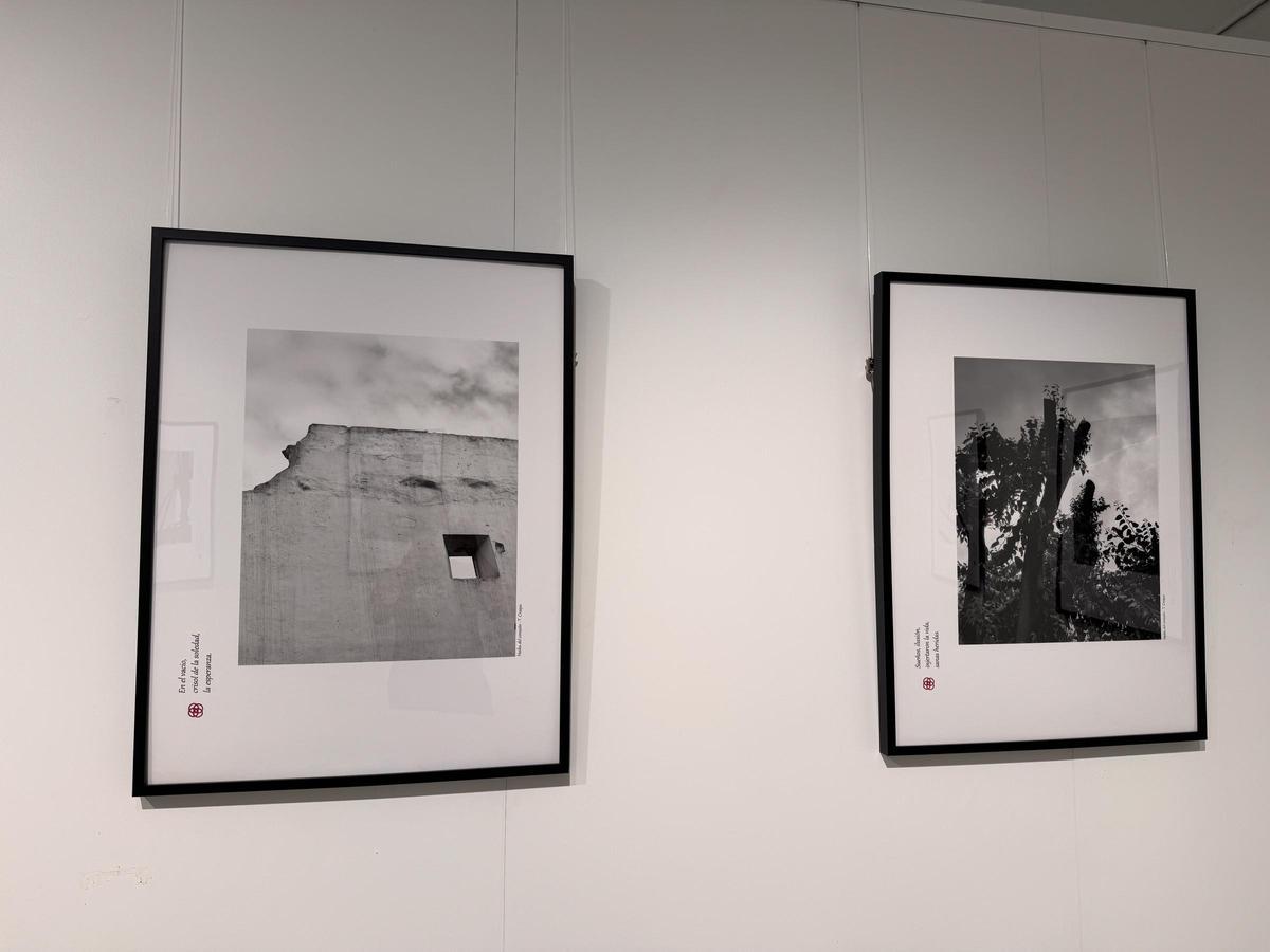 Haikus de la exposición de Teresa Crespo.