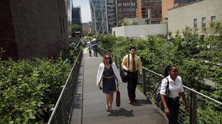 High Line, el exitoso precursor neoyorquino