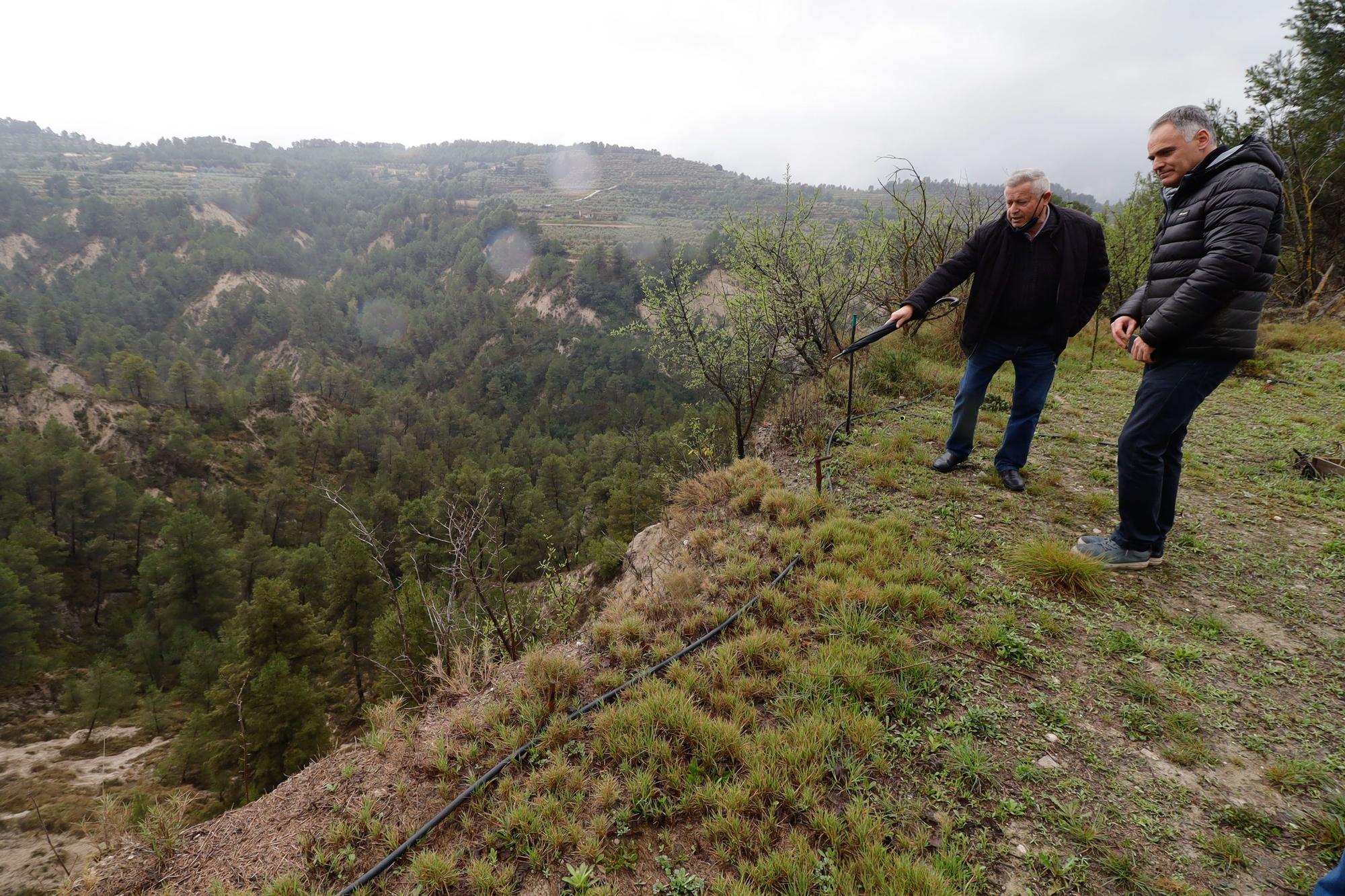 Las lluvias agravan el riesgo de derrumbes en el barranco de Benillup