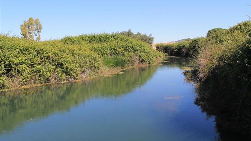 Lugares donde aflora el agua subterránea del acuífero cacereño