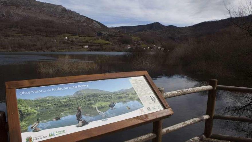 Vista del embalse de Rioseco desde uno de los observatorios de aves.