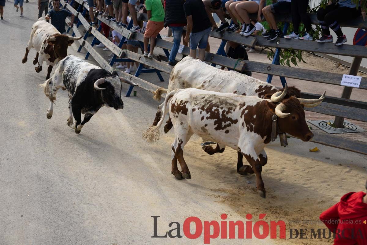 Primer encierro de la Feria del Arroz de Calasparra