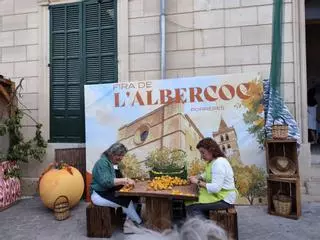 Las imágenes de la Fira de l'Albercoc de Porreres