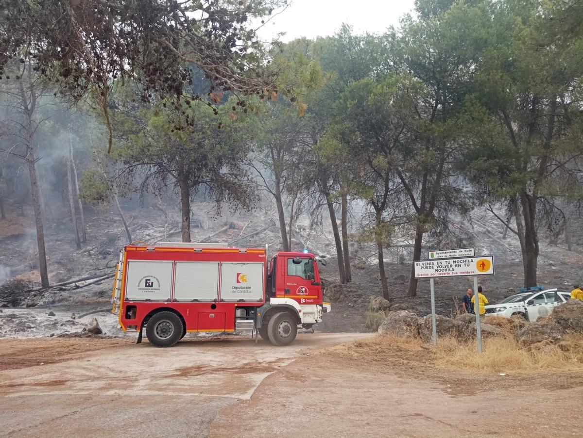 El Infoca combate un grave incendio forestal en Rute El Infoca combate un grave incendio forestal en Rute