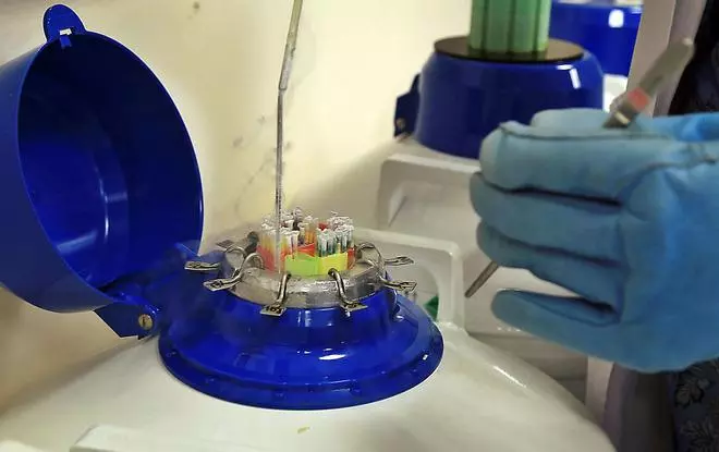 Un corte de luz en el Hospital General provoca la pérdida de embriones congelados