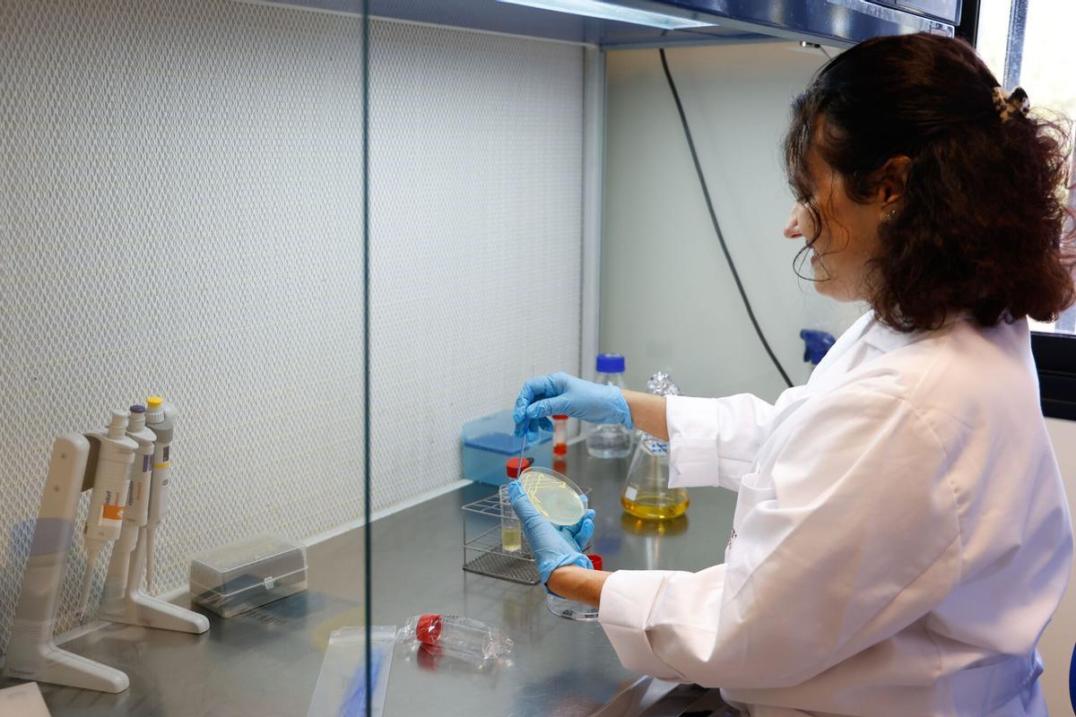 Primer aniversario de Córdoba Biotech. En Rabanales 21