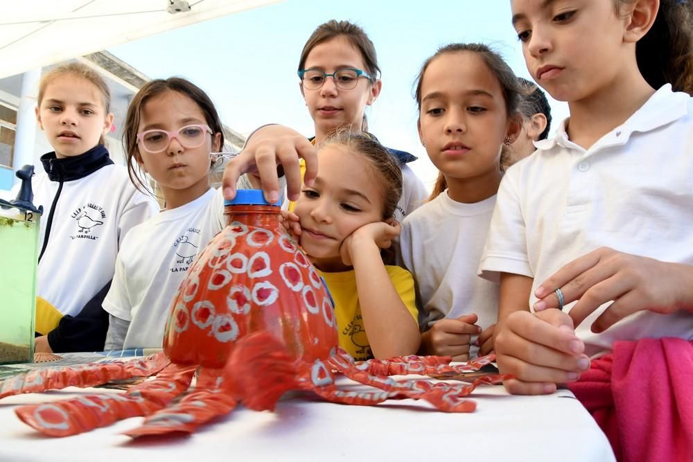 Feria de la Salud en Las Remudas