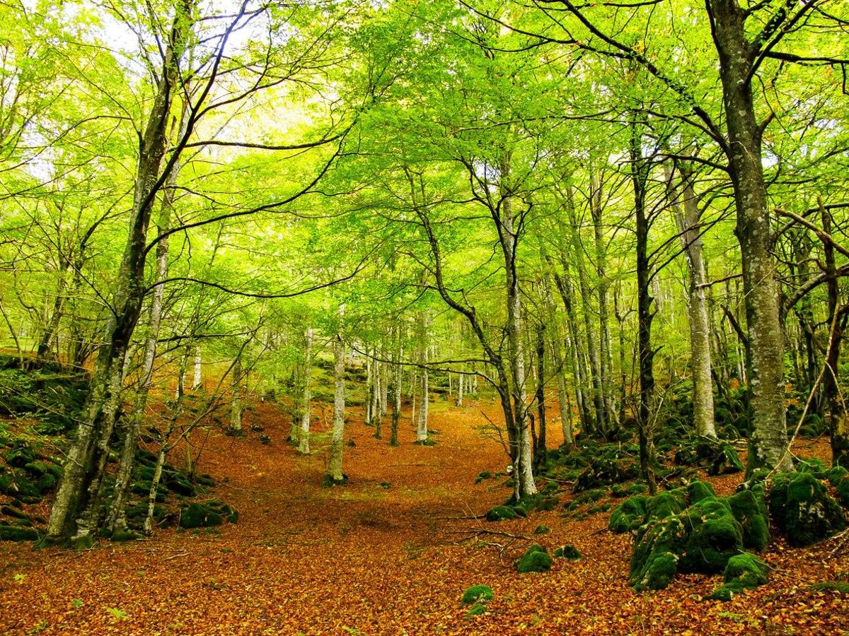 Sierra de Aralar, País Vasco y Navarra