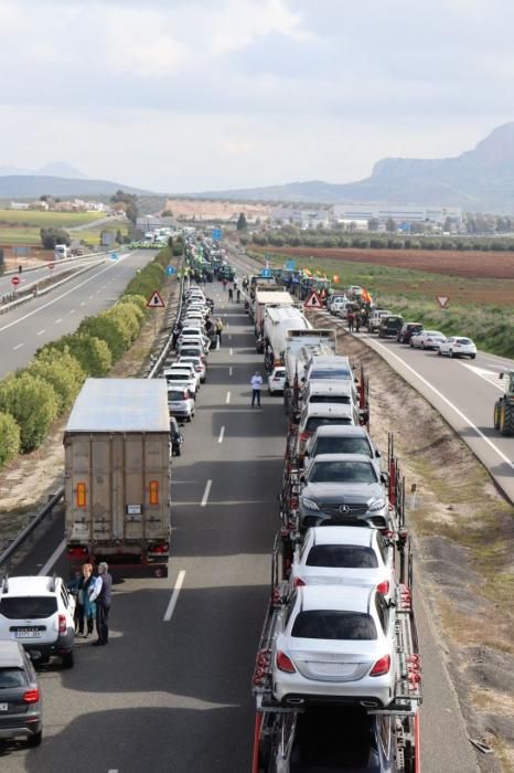 Tractorada de los agricultores y ganaderos malagueños contra los precios bajos que impone la industria.