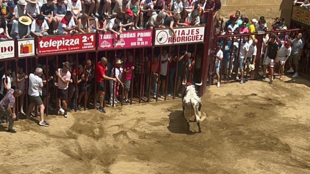 Los Sanjuanes se despide con el toro de la peña La Geta tras seis días cargados de emoción y diversión