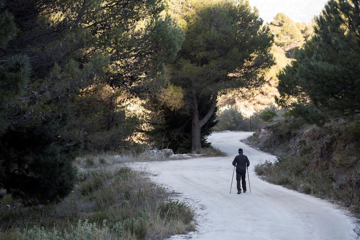 Una persona camina por el entorno del Parque Natural Sierra de las Nieves