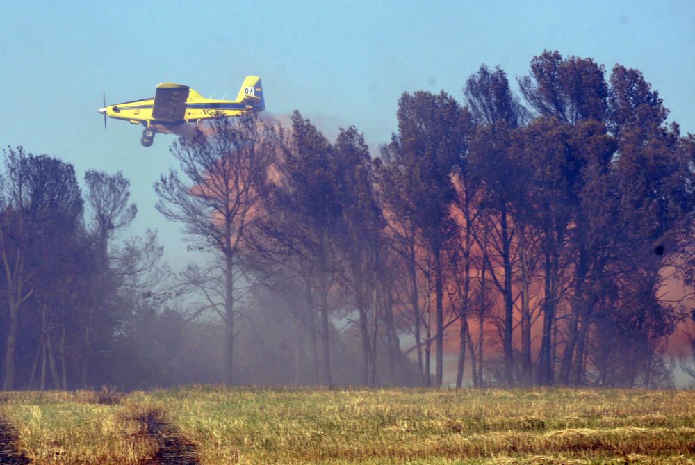 Extinció de l''incendi de Vilopriu 04/07/18