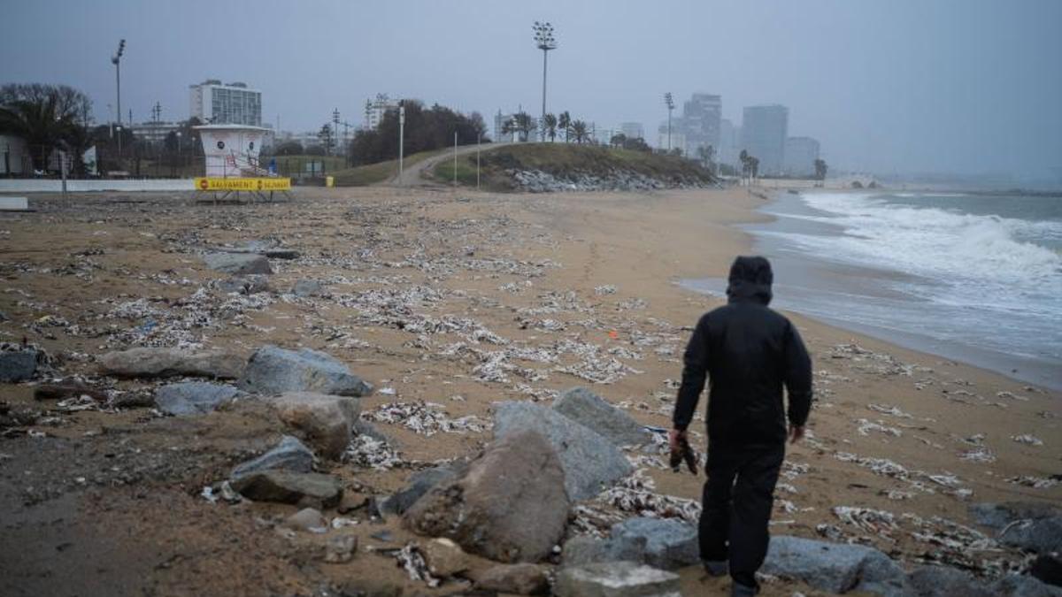 El fuerte oleaje ha dejado basura y ramas en la playa de la Barceloneta