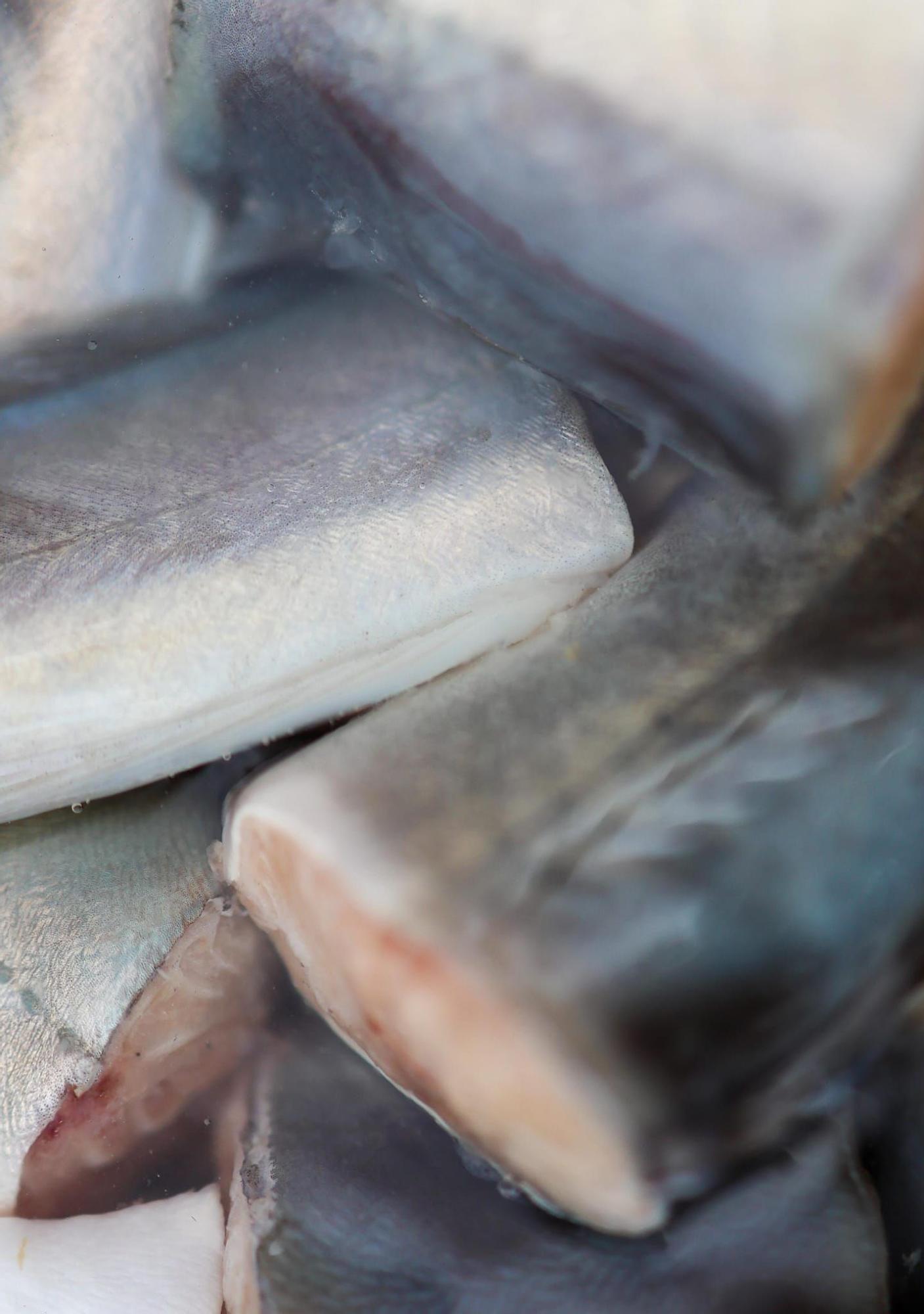 Catarroja celebra el LIII Concurso Internacional de Allipebre