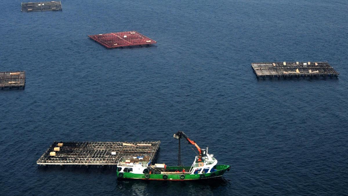 Un barco auxiliar de acuicultura en la ría de Vigo.