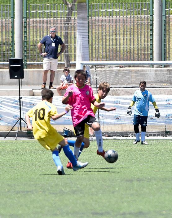 TORNEO FUTBOL ALEVIN EN MASPALOMAS