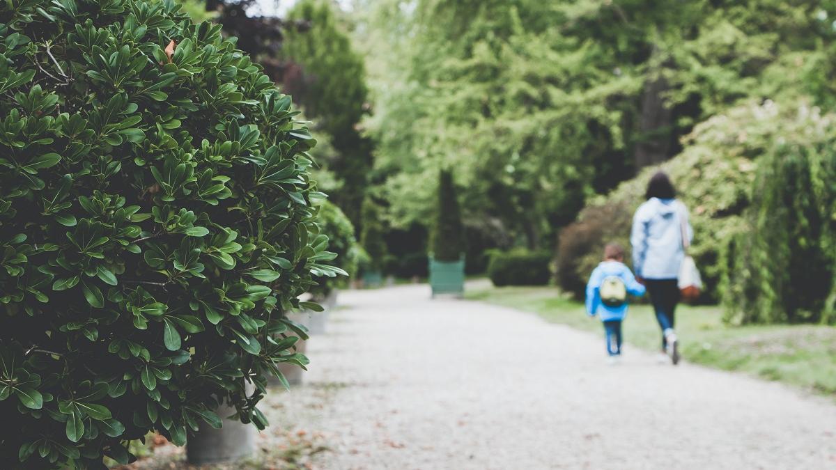 Ir caminando al colegio aumenta la autoestima y el rendimiento escolar de los niños