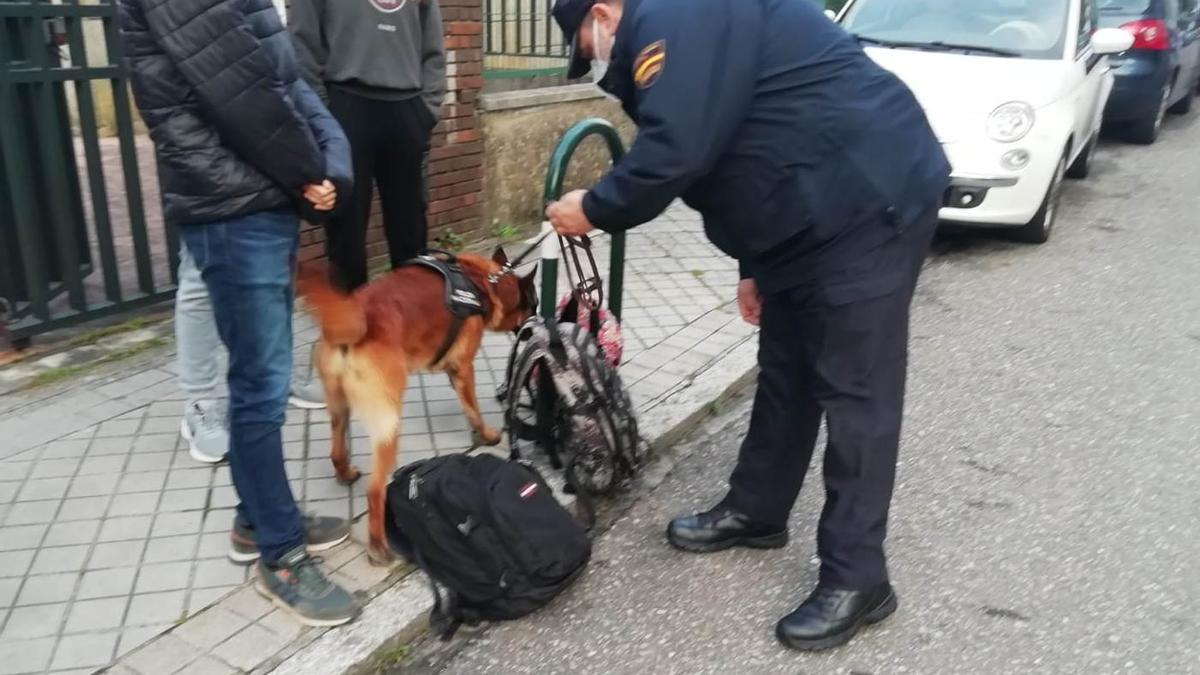 Un perro de la Unidad Canina de la Policía rastrea las pertenencias de alumnos en un centro escolar.