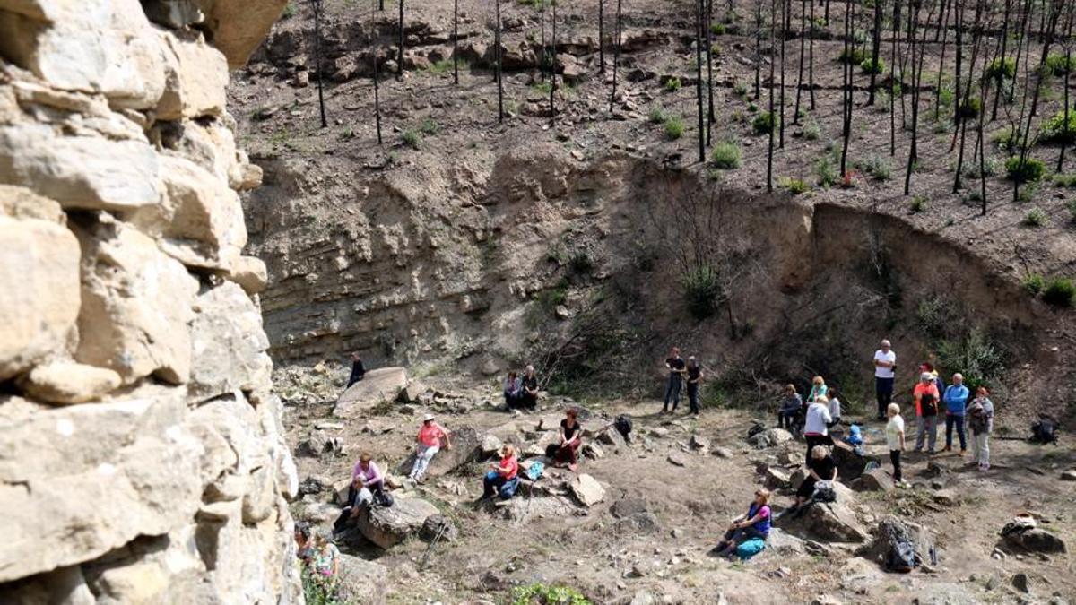 L'amfiteatre envoltat de tines i bosc cremat, que comença a rebrotar