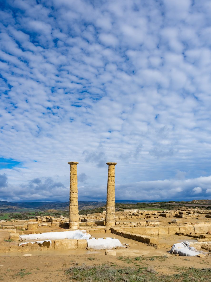 Los hallazgos se pueden apreciar en el yacimiento.