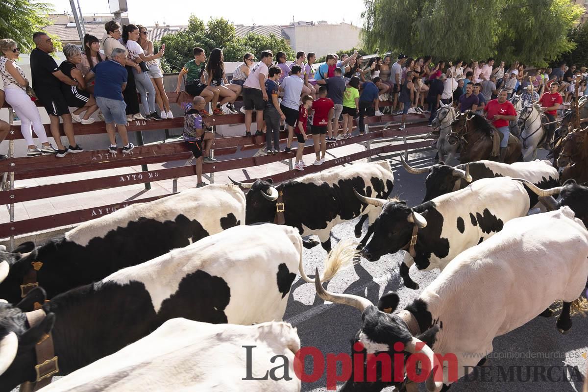 Primer encierro de las Fiestas de Moratalla