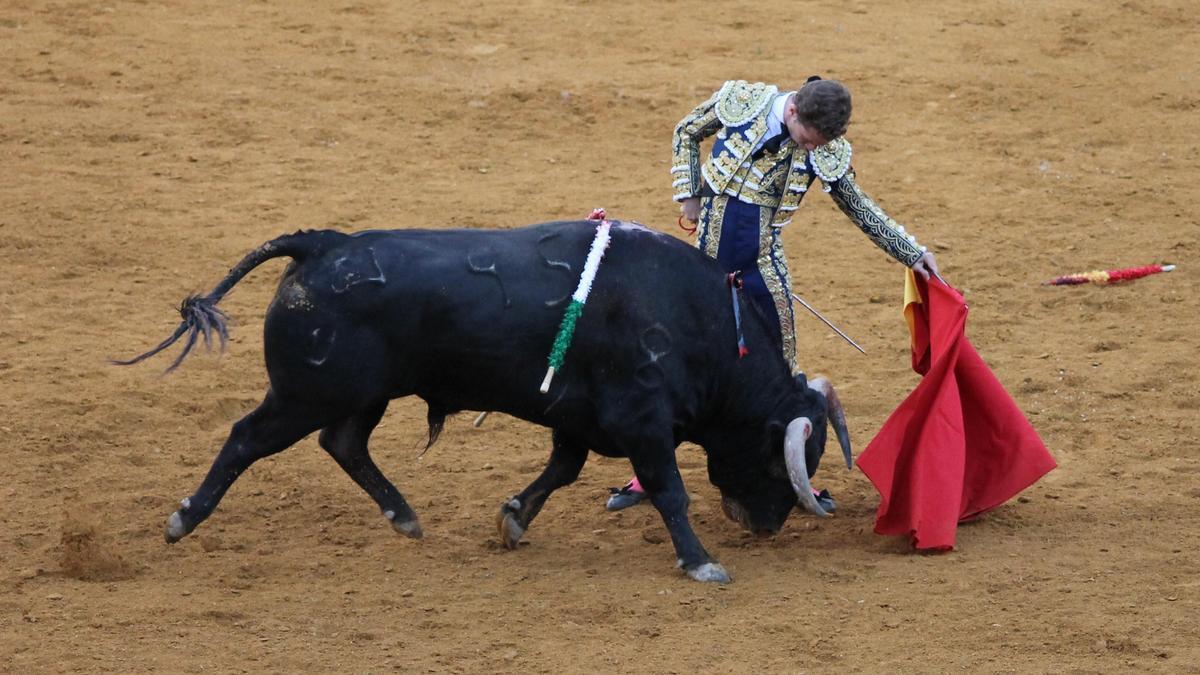 Natural de Calerito al segundo de su lote en Priego.