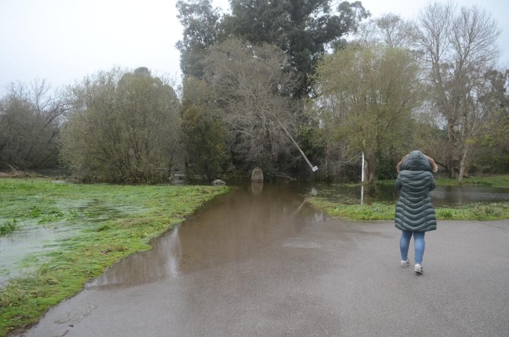 Fotos de los destrozos de la borrasca ''Cecilia''