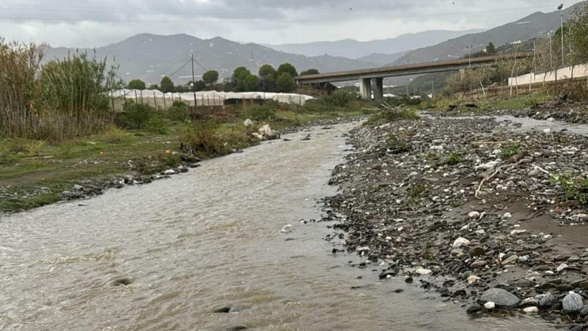 Cauce bajo del río Algarrobo.