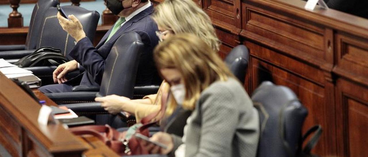 Román Rodríguez, vicepresidente del Gobierno regional, y las consejeras Alicia Vanoostende y Noemí Santana, en un pleno del Parlamento canario. | | MARIA PISACA