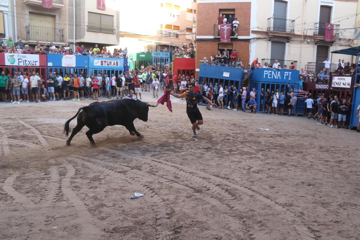 Foto de una exhibición taurina en las pasadas fiestas del Cristo en l'Alcora.