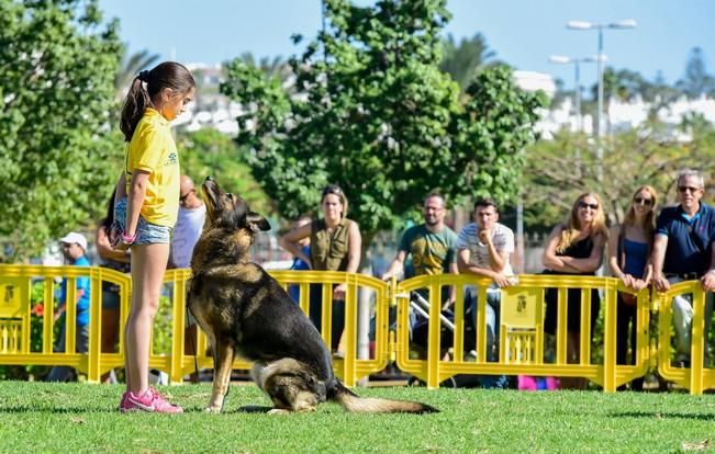 10/12/2016 MASPALOMAS. Feria de Mascotas Maspalomas 2016.Foto: SABRINA CEBALLOS