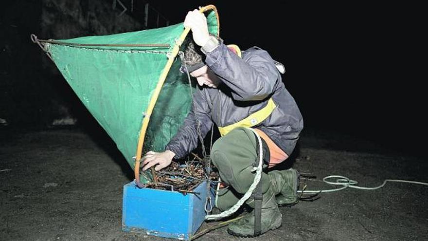 El pescador praviano Pablo Riesgo registra su piñera en busca de angulas, durante la noche del pasado lunes, a orillas de la ría del Nalón.