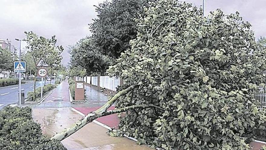 Calles y carreteras inundadas colapsan Castellón con más de 60 incidencias