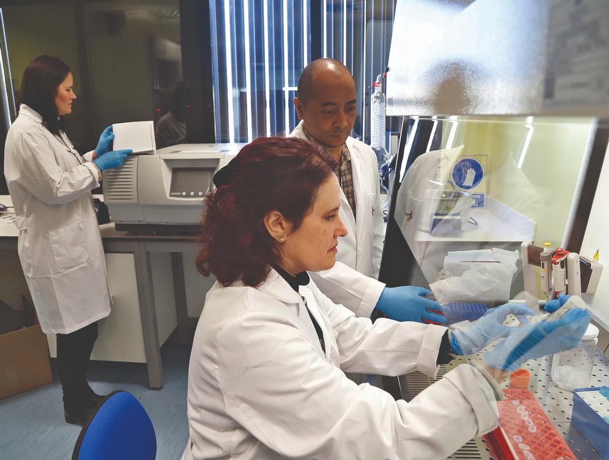 Proceso de investigación en una de las empresas de Rabanales 21.