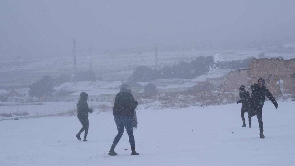 Nieve en La Encina.