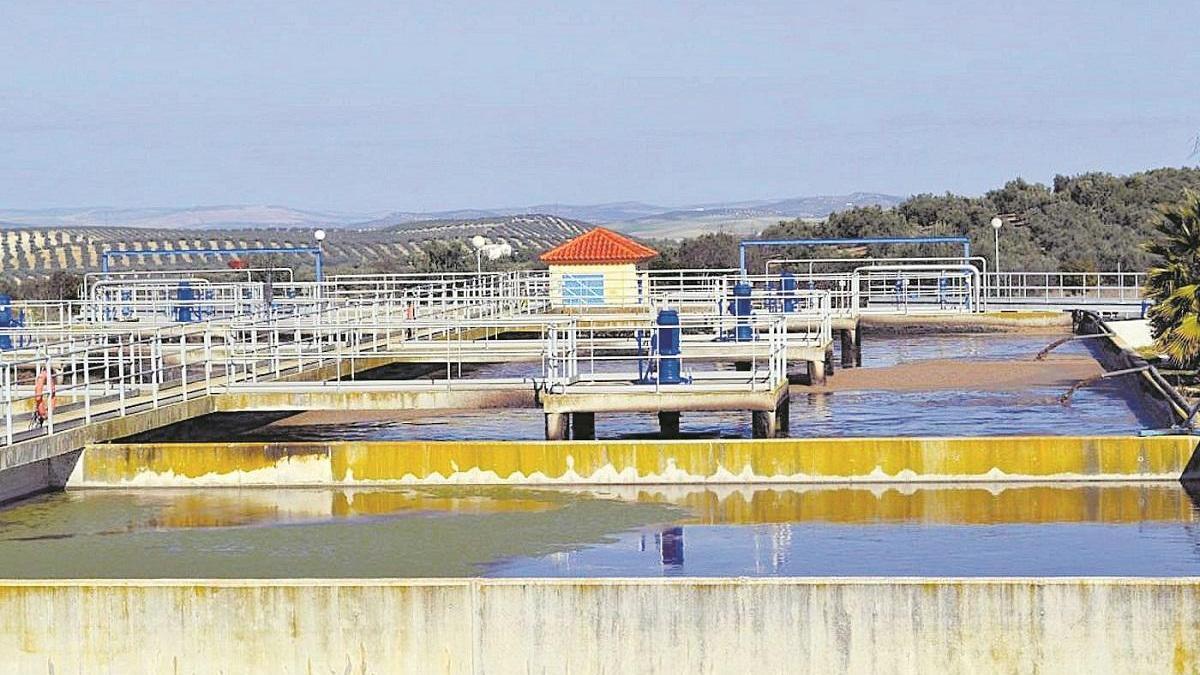 Agua regenerada para el olivar