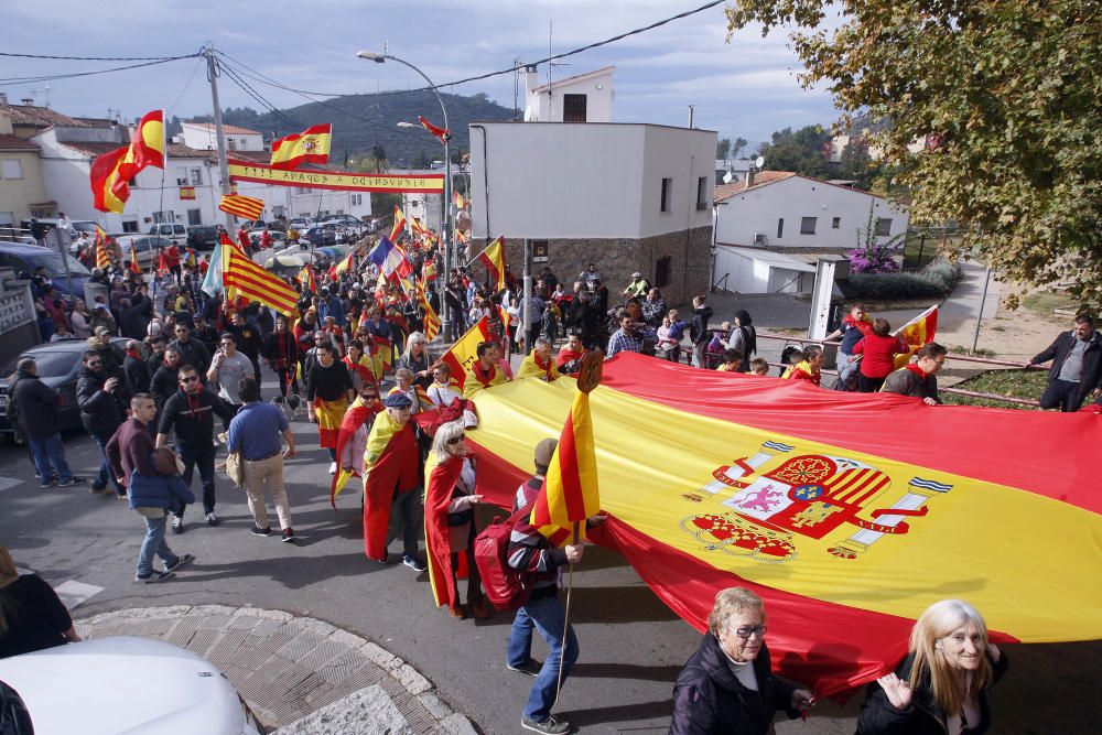 400 persones es manifesten a Girona en favor de la unitat d''Espanya i en contra del Govern destituït