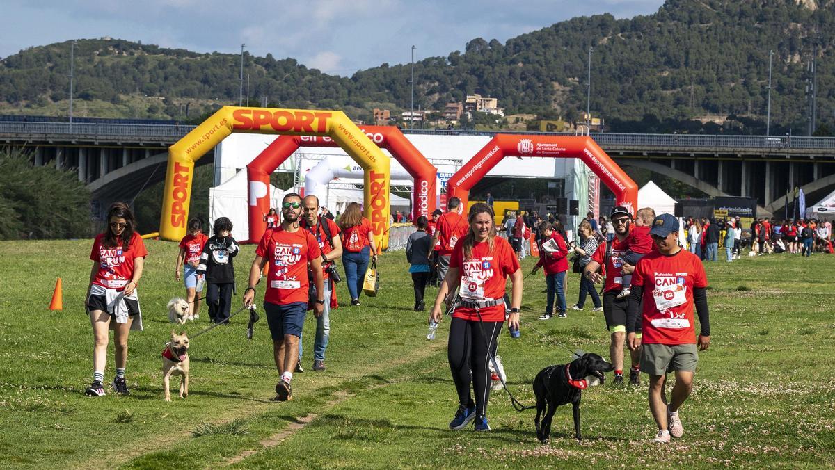 Carrera Can We Run 2026