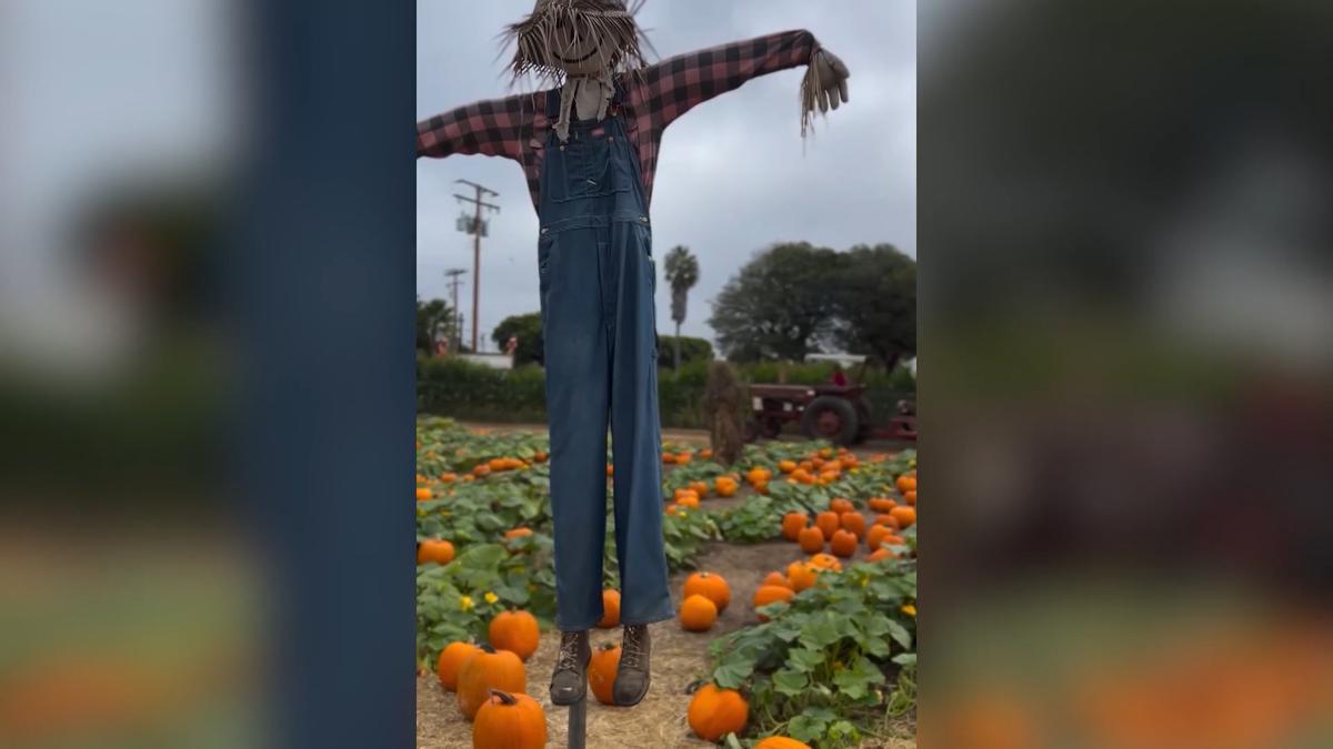La casa más temida de Halloween está en este pueblo tinerfeño