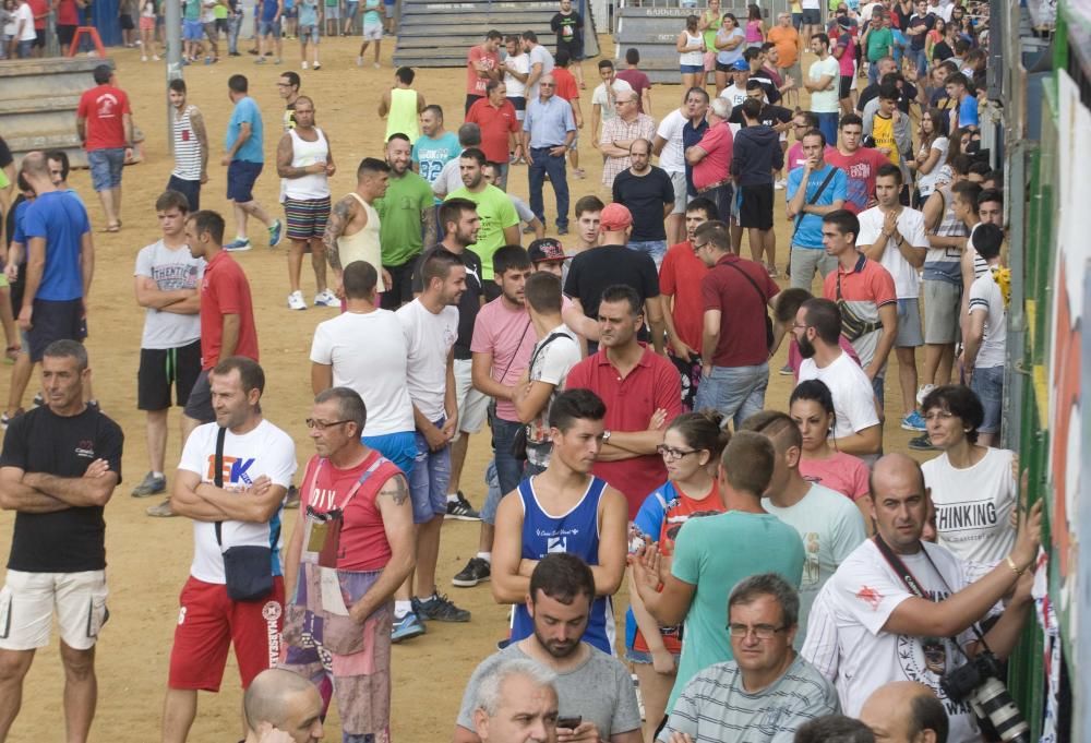 Fiestas de Sagunto. Recinto taurino.