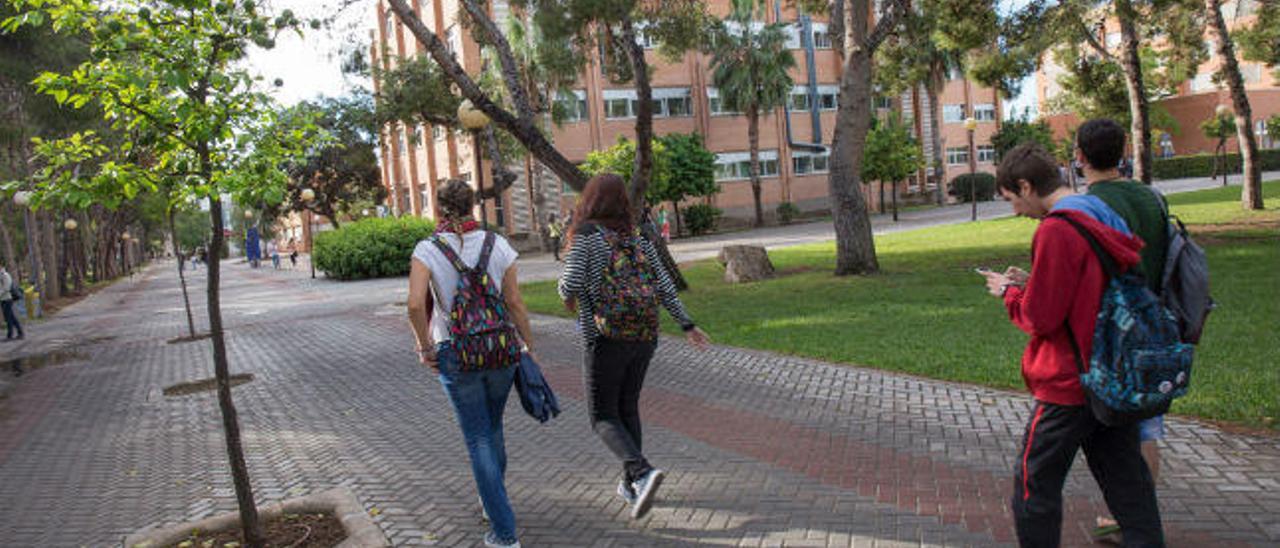 Universitarios en el campus de la UA