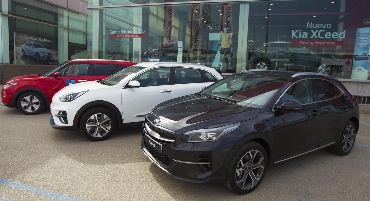 Varios modelos de Kia, la marca más vendida en la provincia.