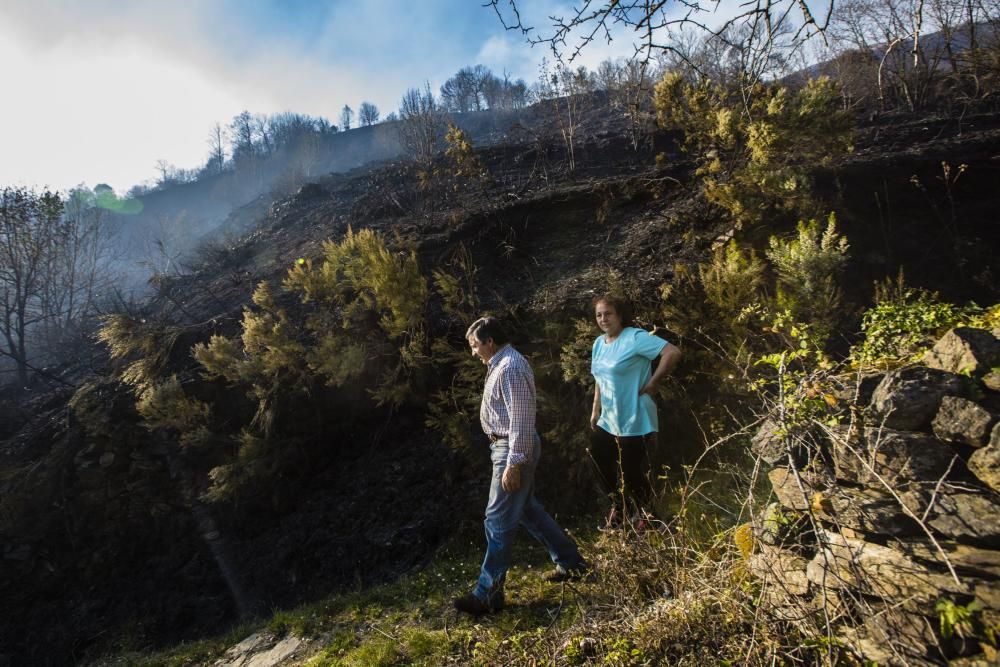 Indendios en Asturias.