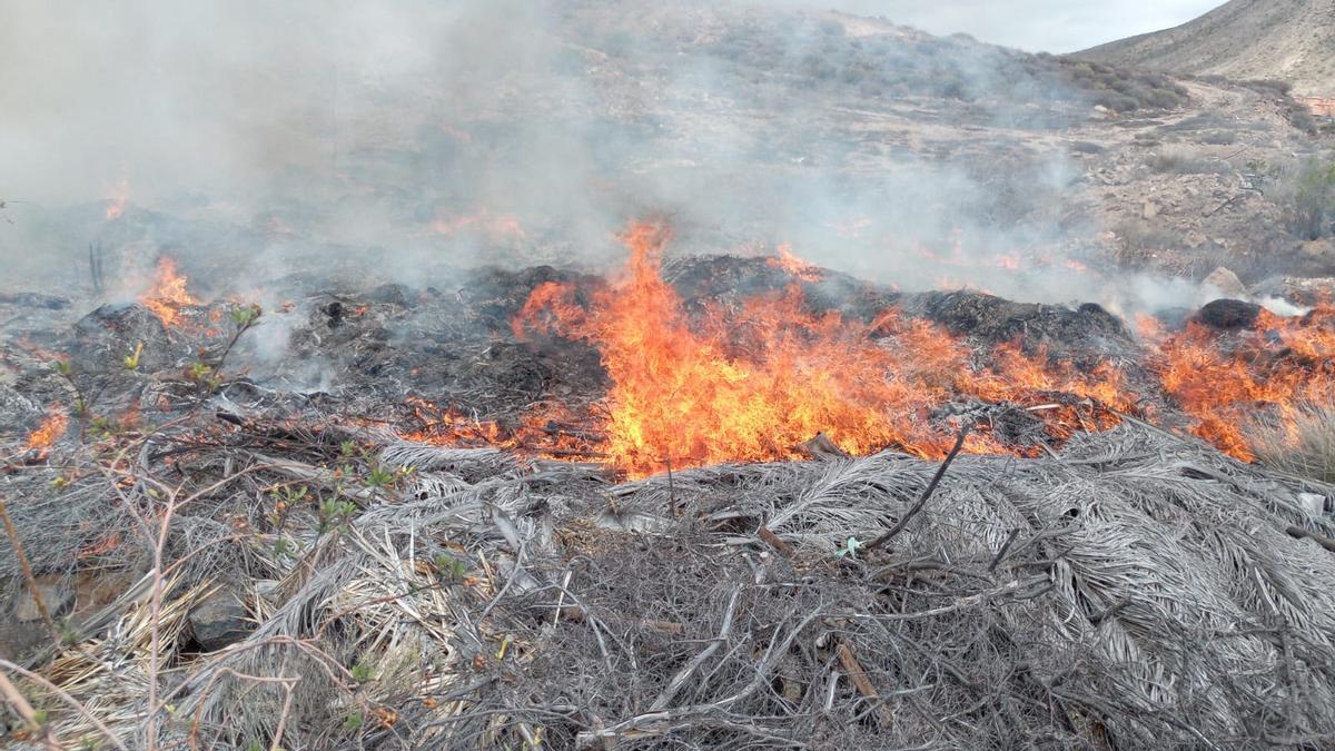 Incendio de rastrojos en Tenerife