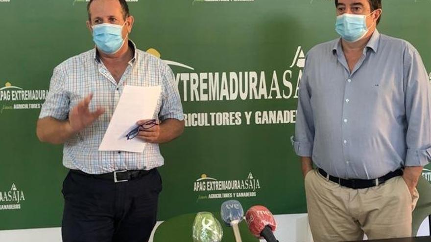 Apag y Asaja protestarán el 11 de agosto ante la Consejería de Agricultura