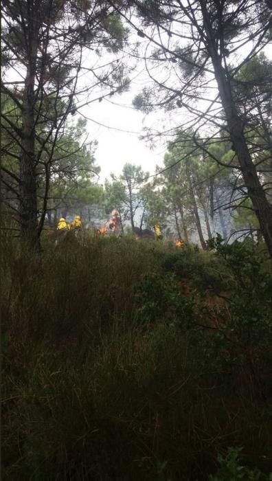 Incendio forestal en Benahavís