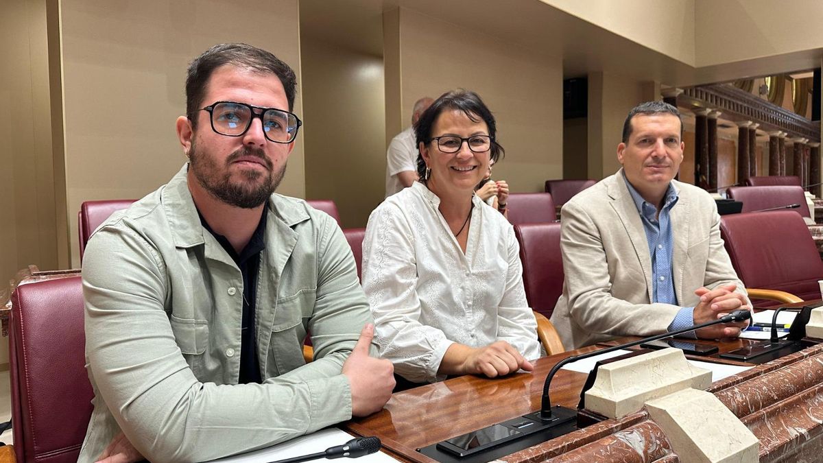 Los diputados socialistas Miguel Ortega, Magdalena Sánchez y Manuel Sevilla.